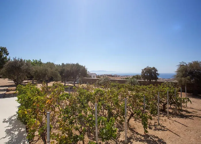 Ferienhaus Ker Scorpios By Bestofmikonos 6 Bed *